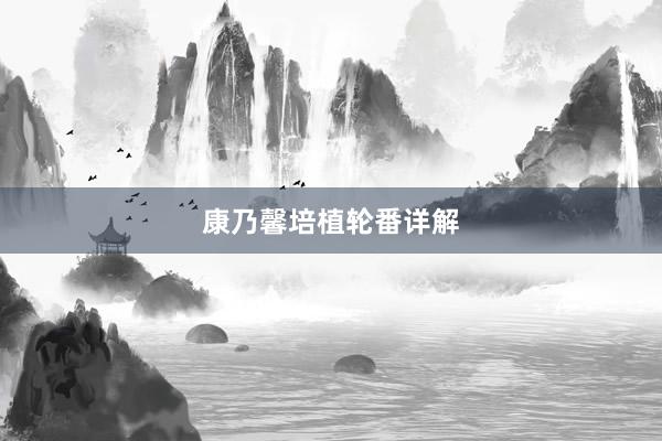 康乃馨培植轮番详解